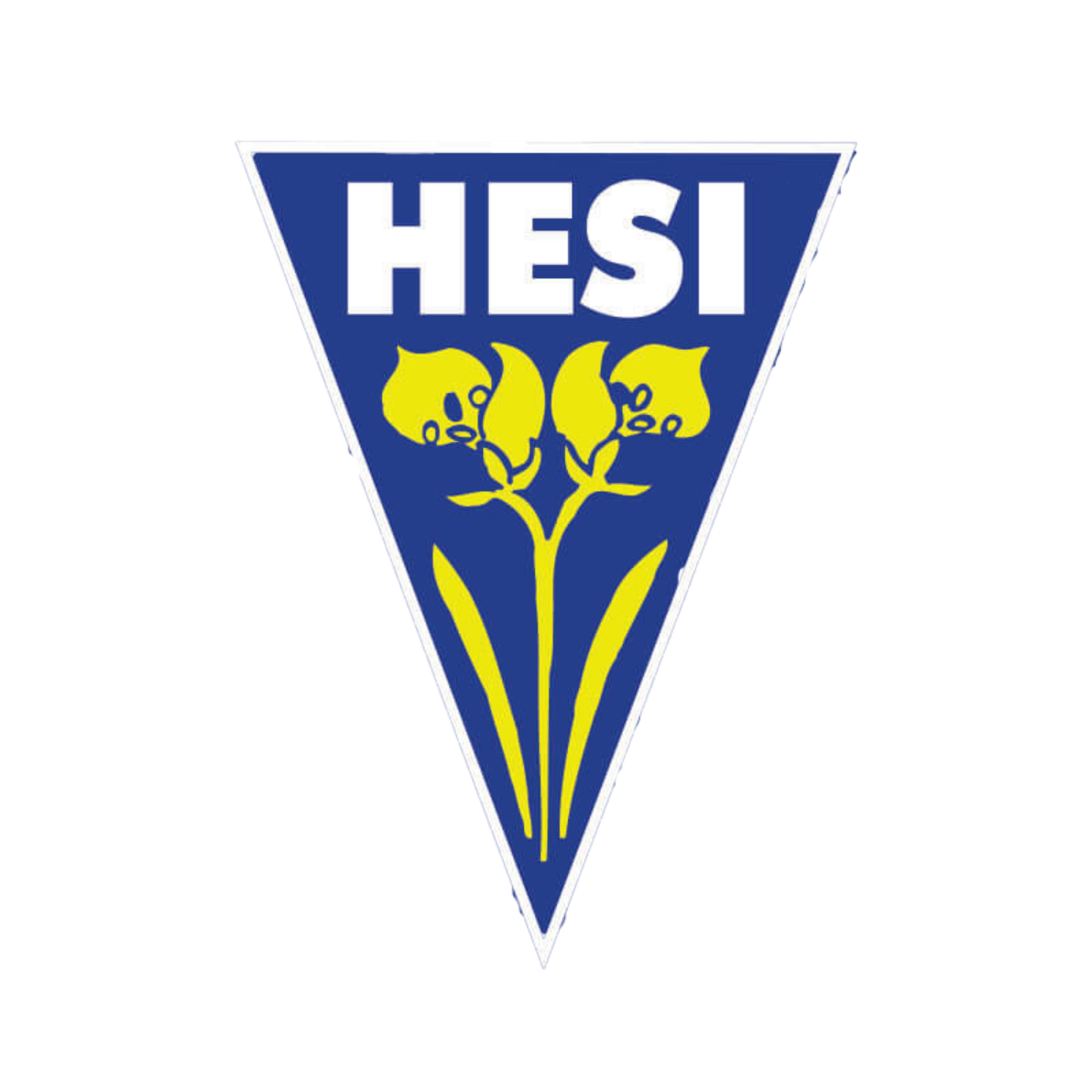 Hesi
