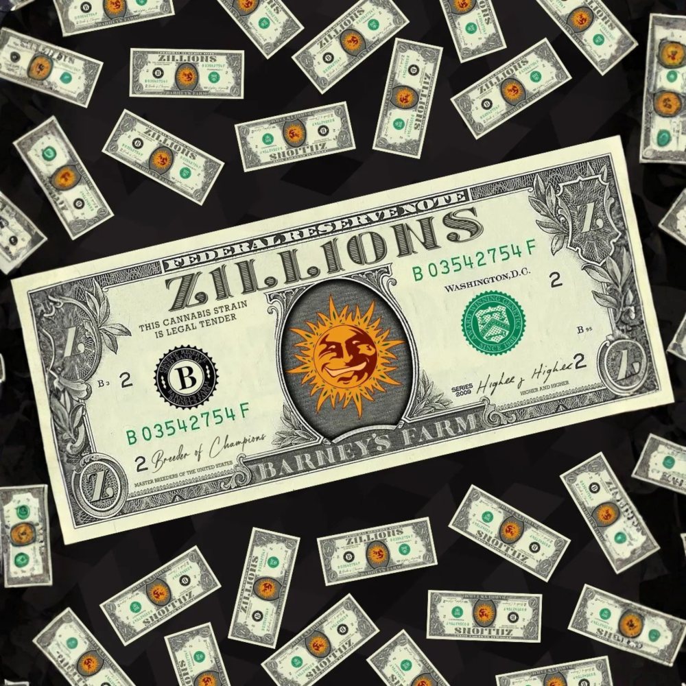 SEA OF GREEN - BARNEYS FARM