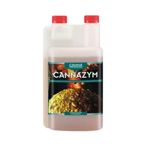 SEA OF GREEN - CANNA