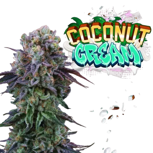 SEA OF GREEN - PERFECT TREE