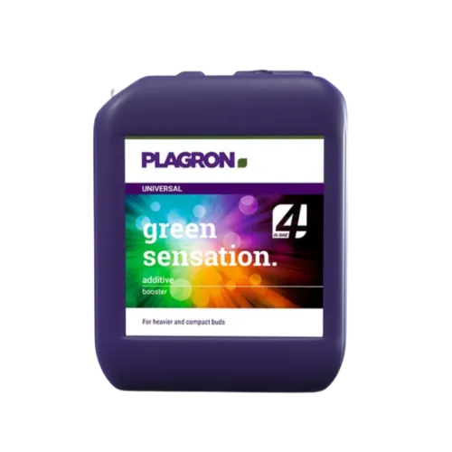 SEA OF GREEN - PLAGRON