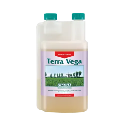 SEA OF GREEN - CANNA